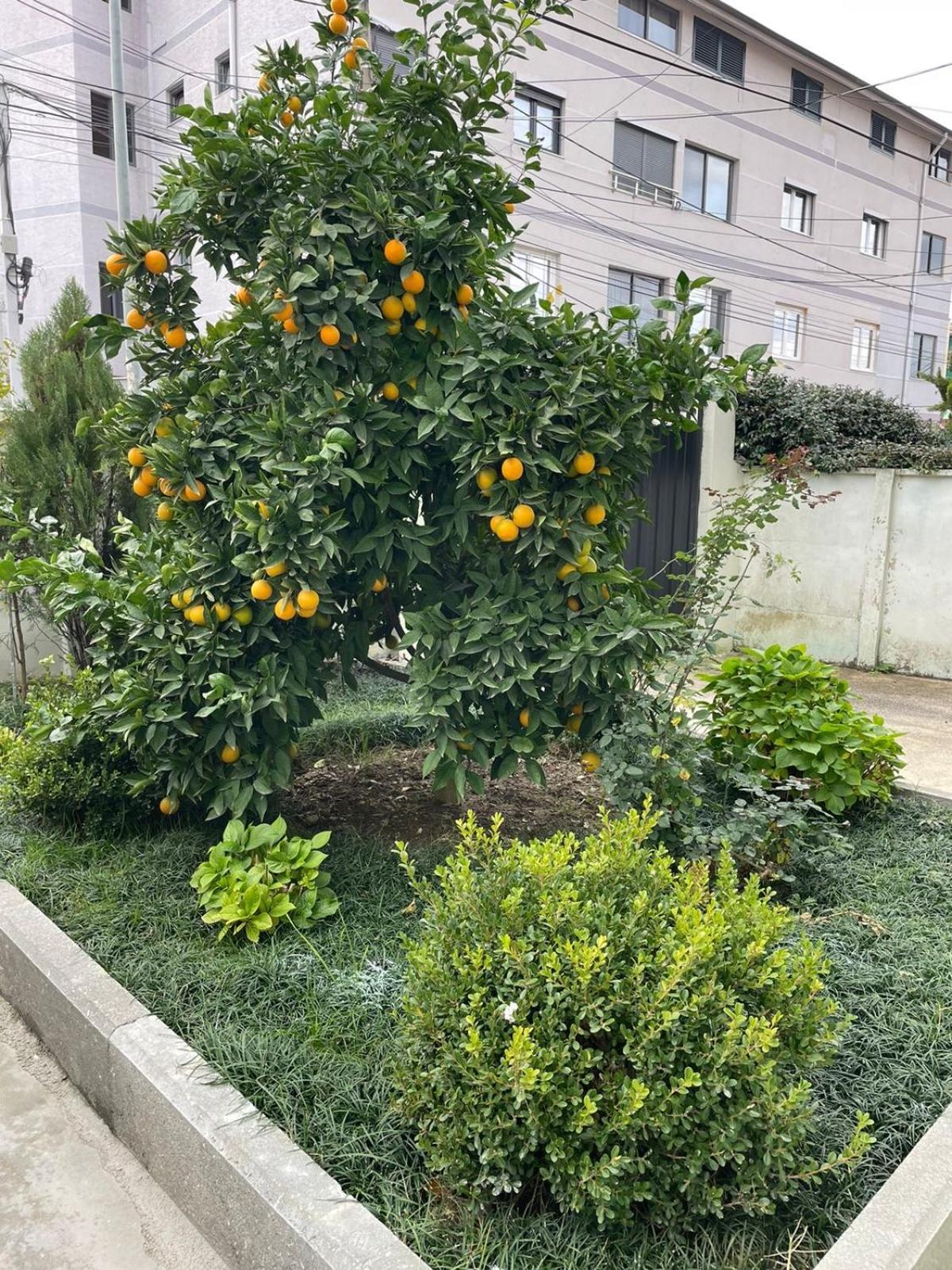 Kevi 'S Place Тирана Экстерьер фото