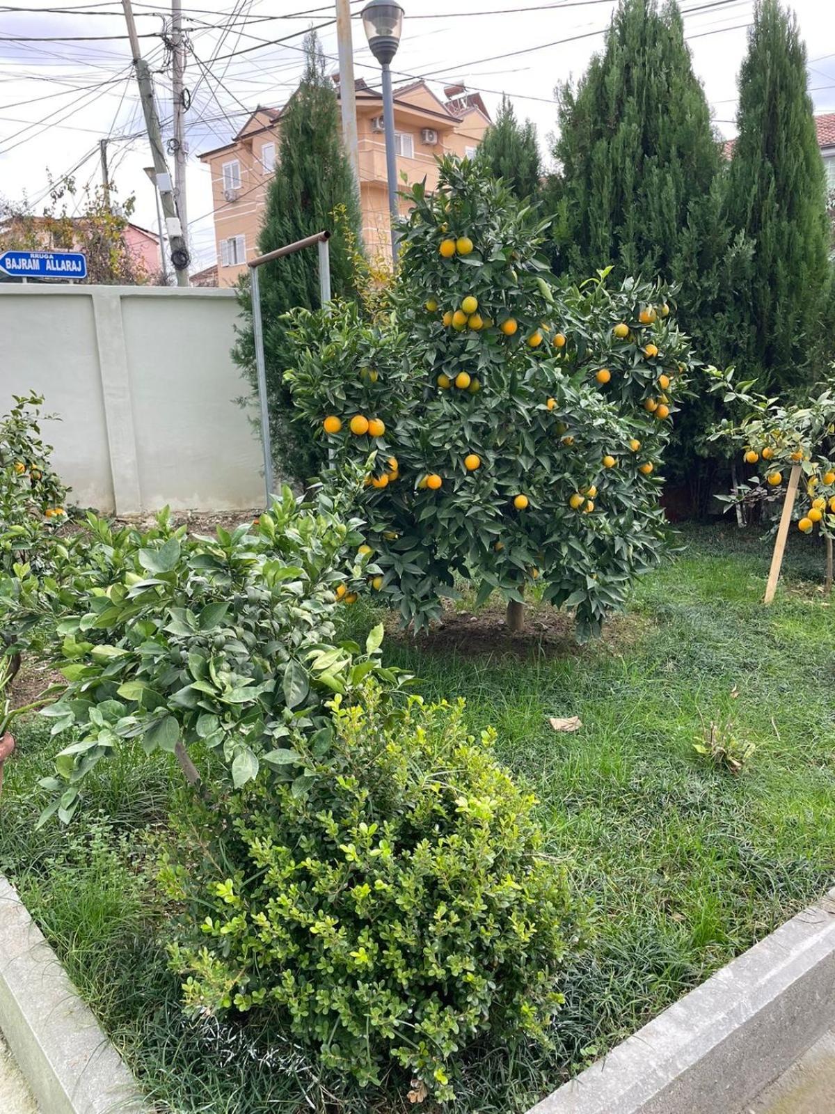 Kevi 'S Place Тирана Экстерьер фото